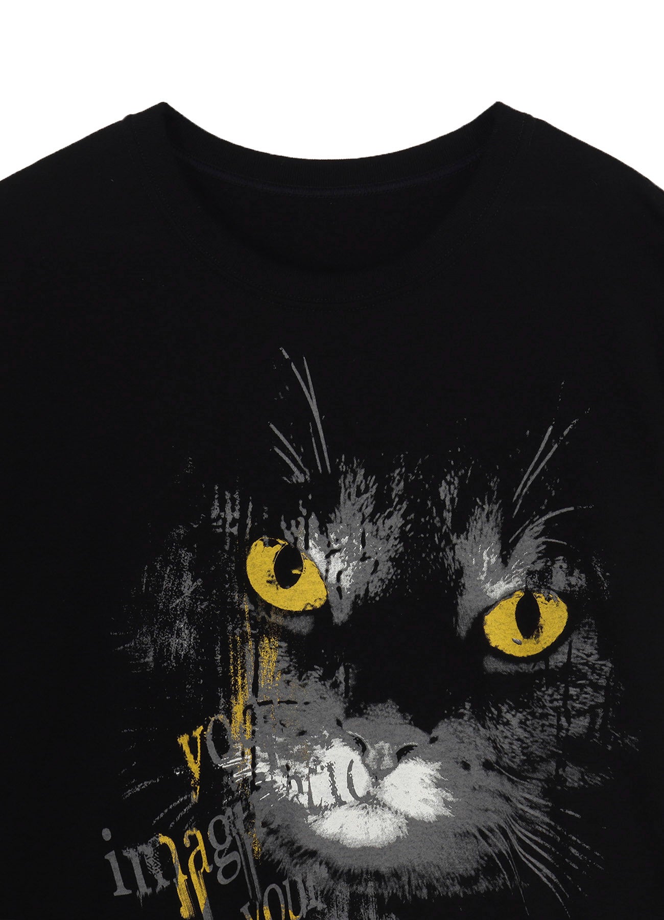 20/COTTON JERSEY CAT T-SHIRT