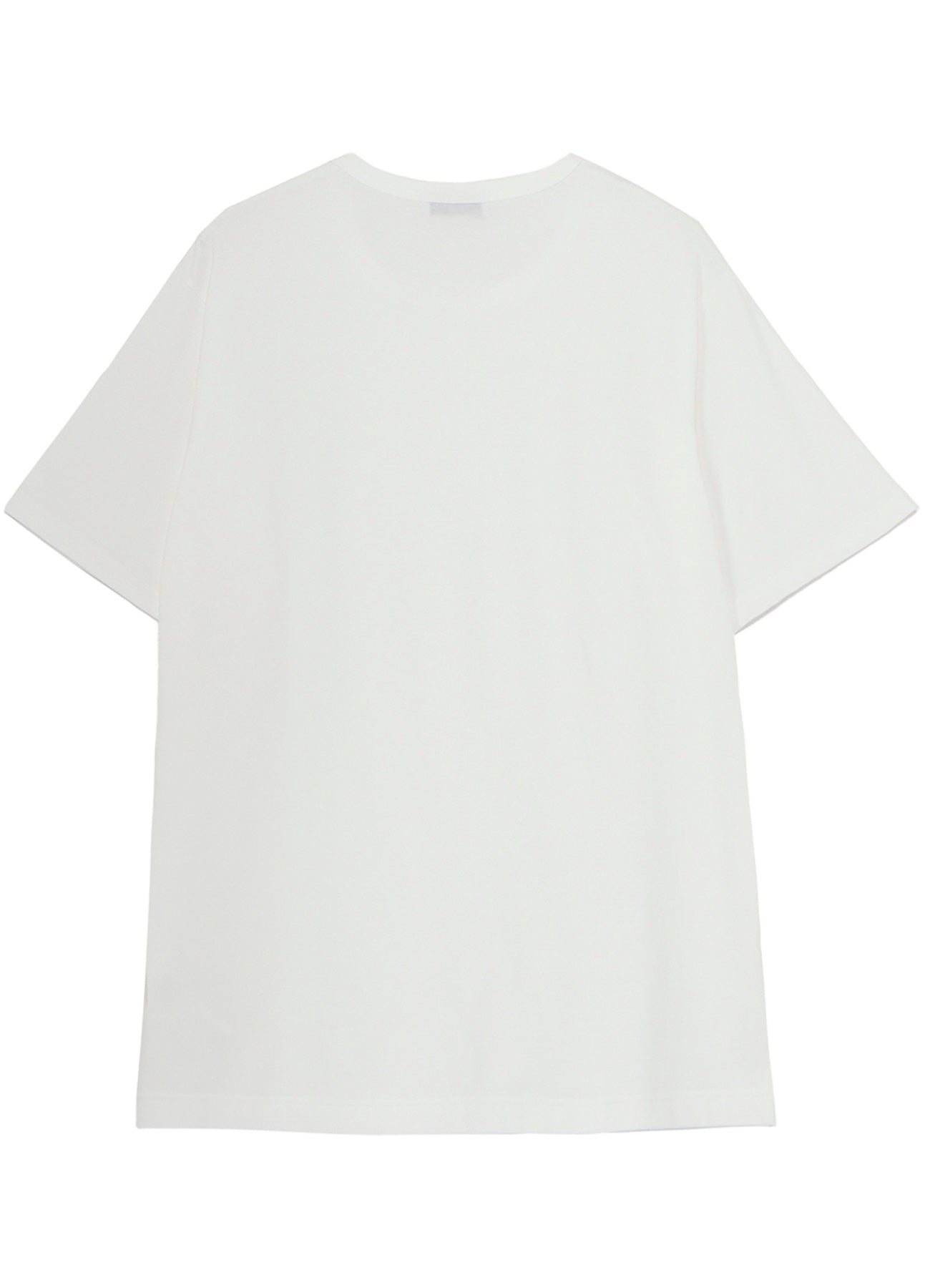 COTTON SINGLE JERSEY ROUND NECK SHORT SLV T