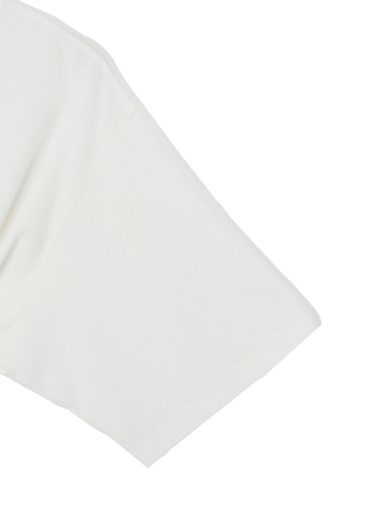 COTTON SINGLE JERSEY ROUND NECK SHORT SLV T