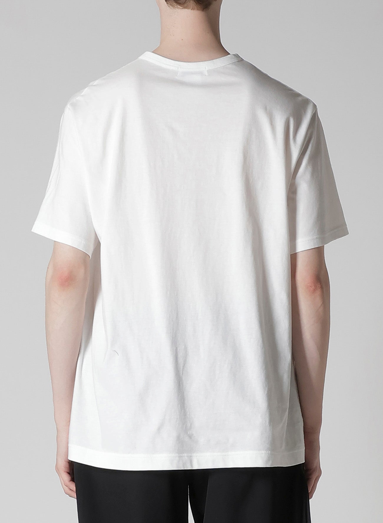 COTTON SINGLE JERSEY ROUND NECK SHORT SLV T