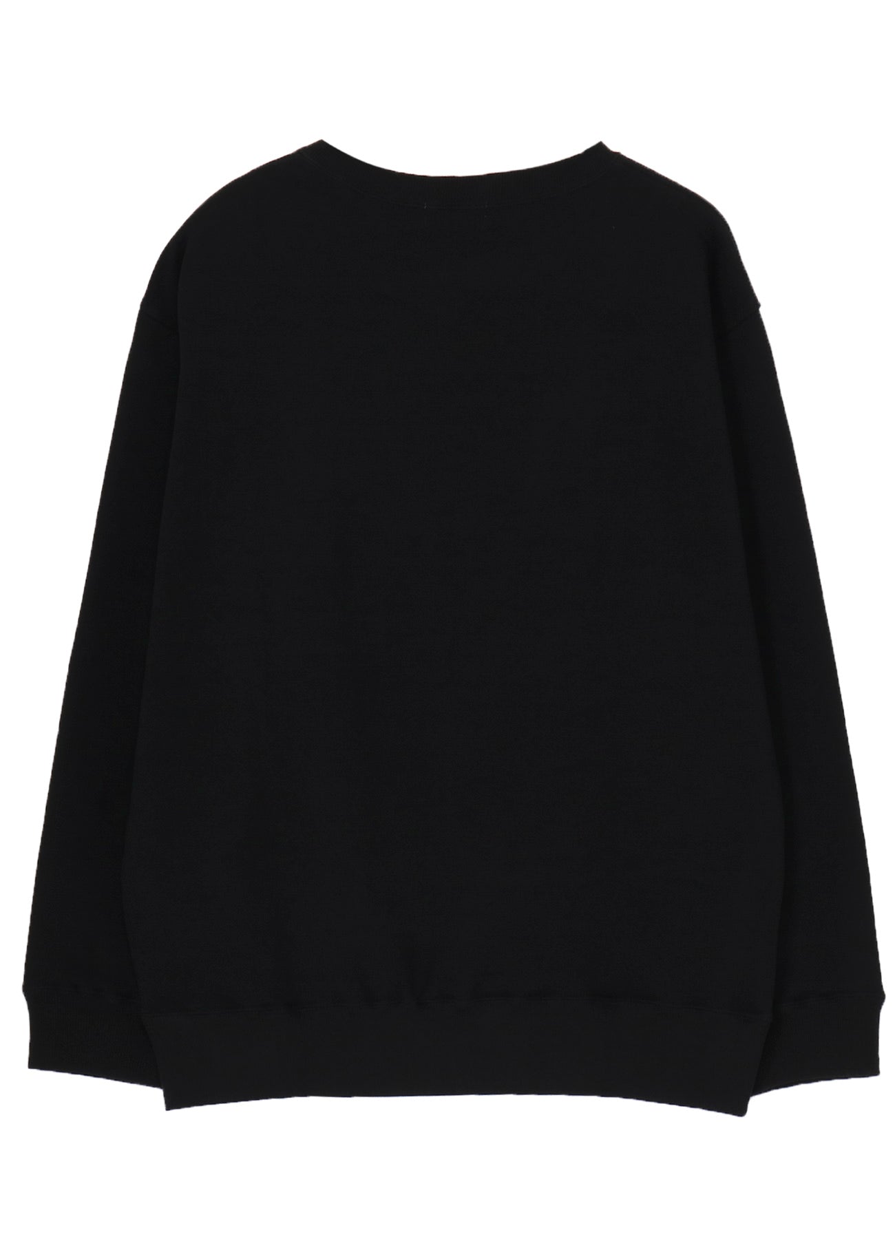 PIGMENT PRINT ARCH LOGO SWEAT