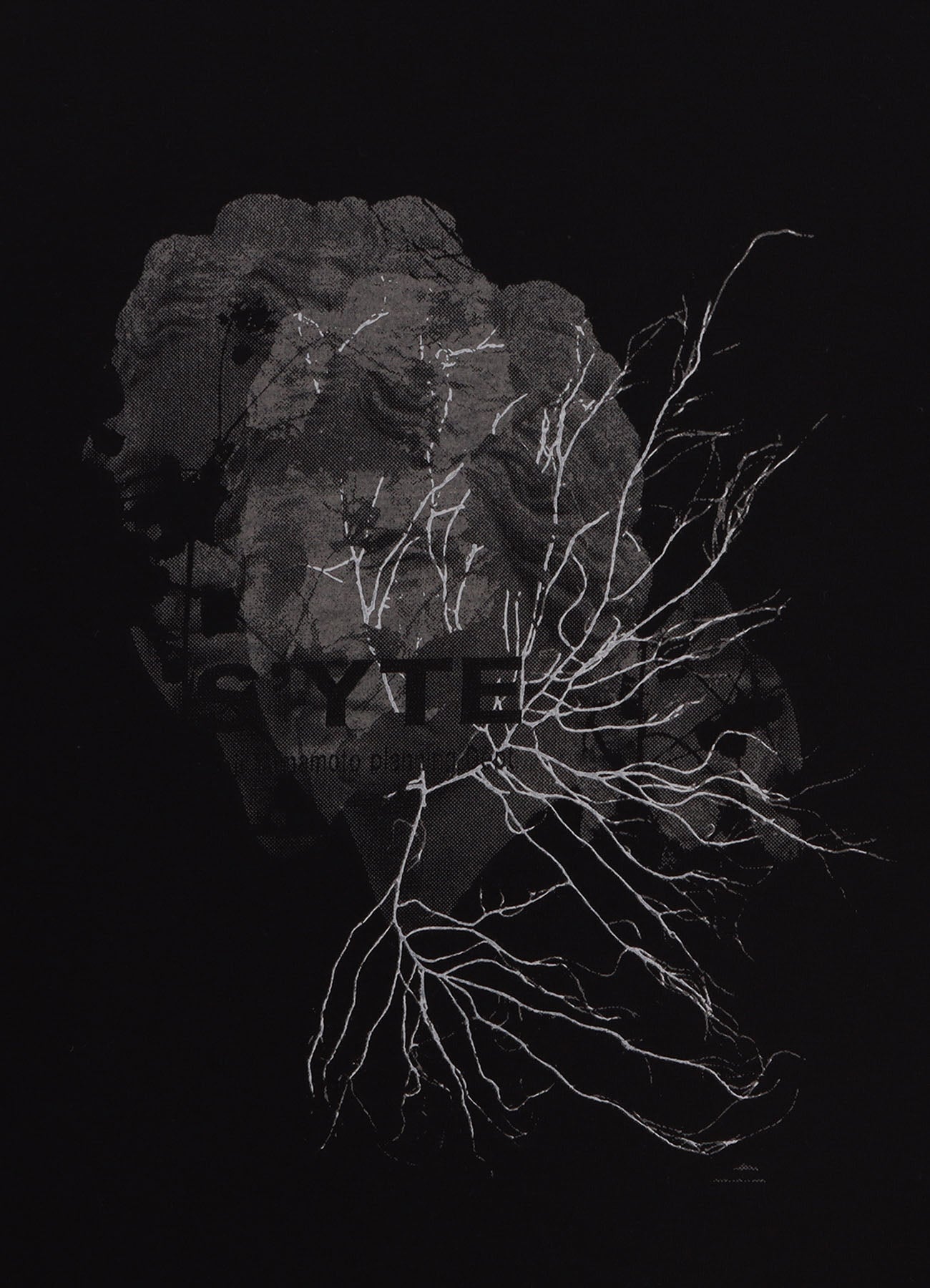 GRAPHIC T-SHIRT -SCULPTURE-