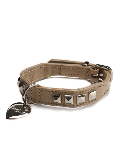 HUNTER×discord Dog collar