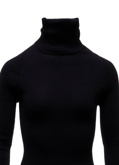 12G1P 2x1 COLOR COMBI RIB HIGHNECK PO