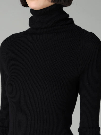12G1P 2x1 COLOR COMBI RIB HIGHNECK PO