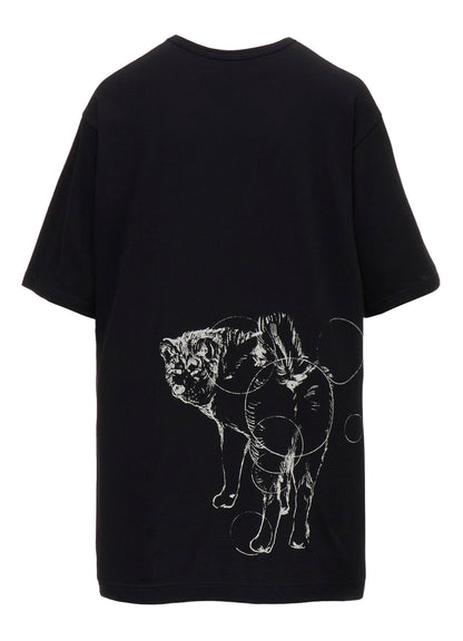 30/-COTTON SINGLE JERSEY SHORT SLV PRINTED T RIN