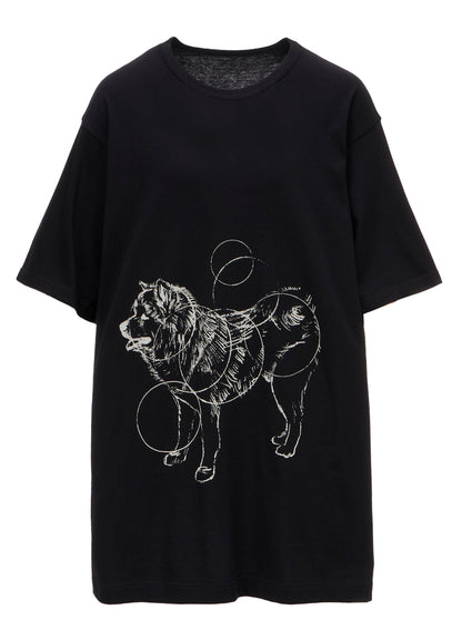 30/-COTTON SINGLE JERSEY SHORT SLV PRINTED T PINA