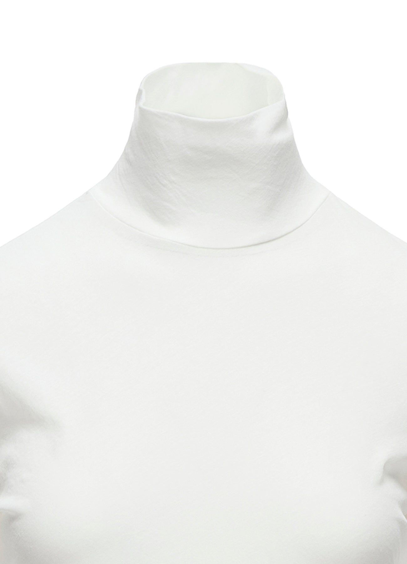 80/-HIGH TWISTED SINGLE JERSEY LONG SLV TURTLE NECK PO