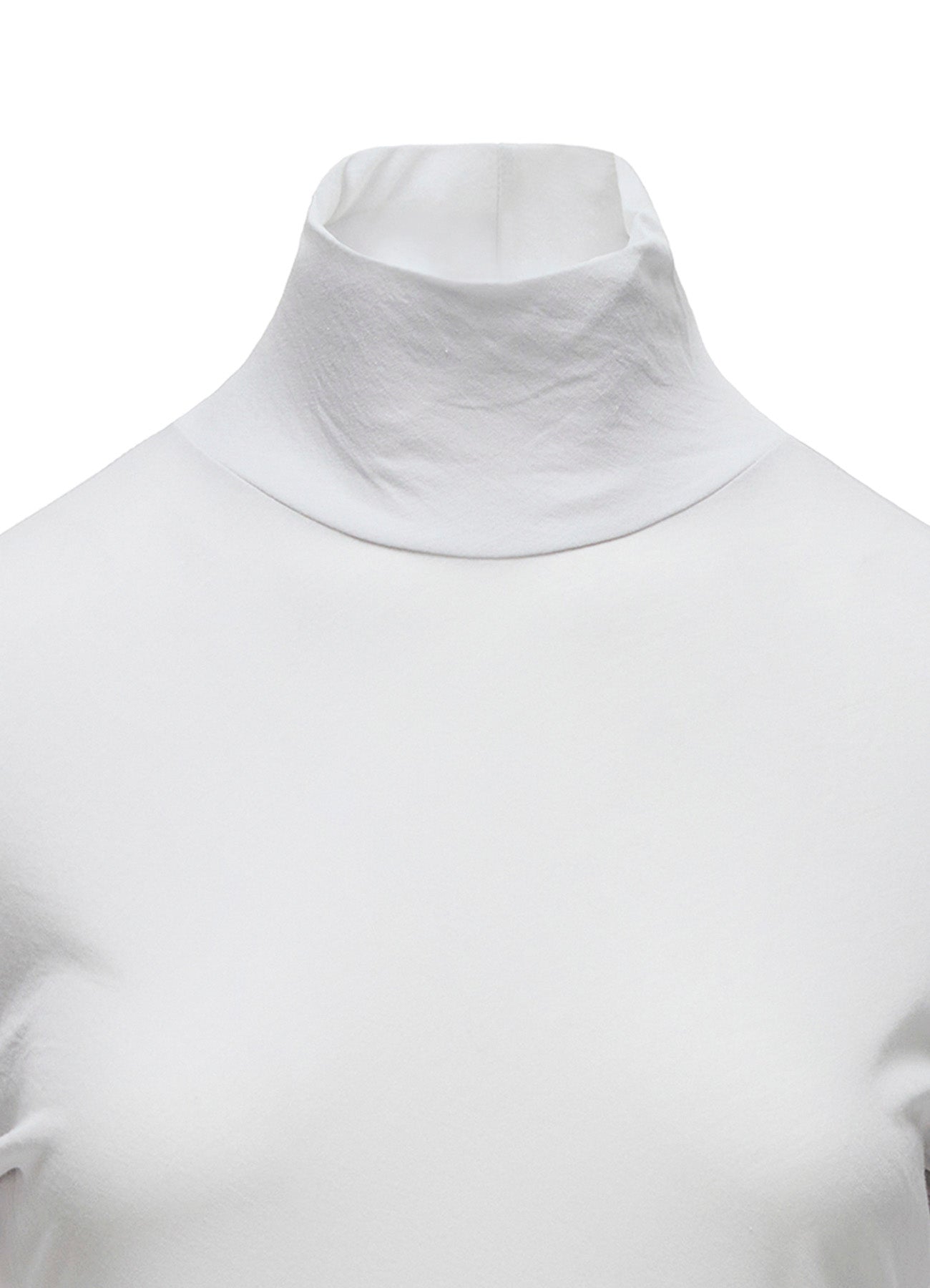 80/-HIGH TWISTED SINGLE JERSEY LONG SLV TURTLE NECK PO