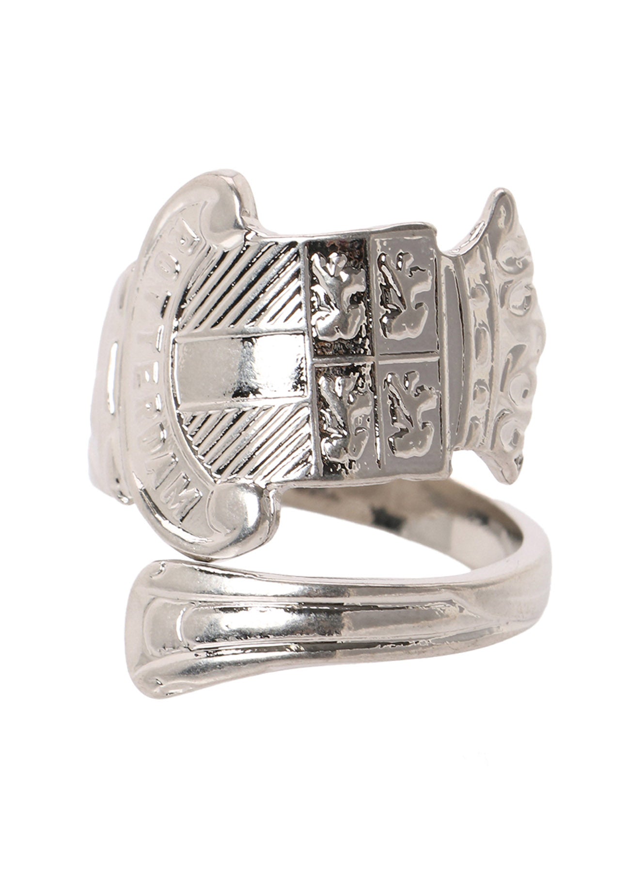 ALLOY RING POTTERDAM