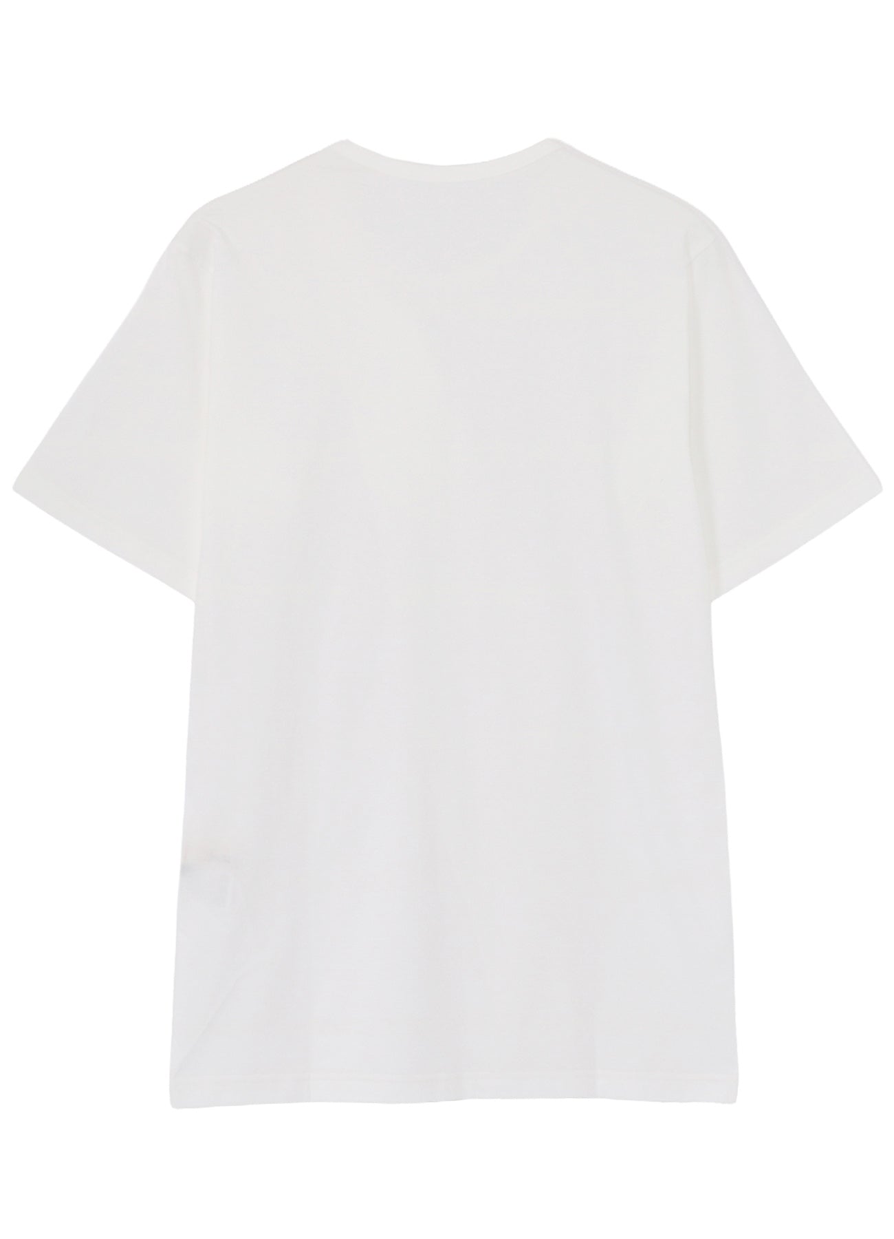30-/COTTON JERSEY SHORT SLEEVED T
