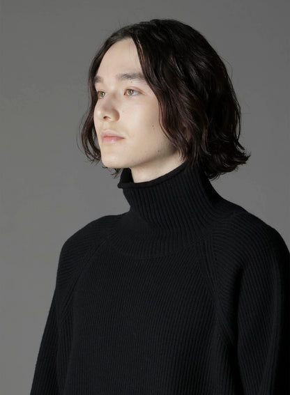 FINE MERINO WOOL RAGLAN TURTLE NECK
