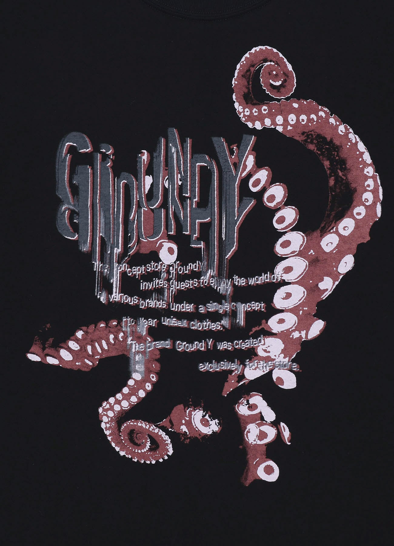 OCTOPUS GRAPHIC PRINT STANDARD T-SHIRT