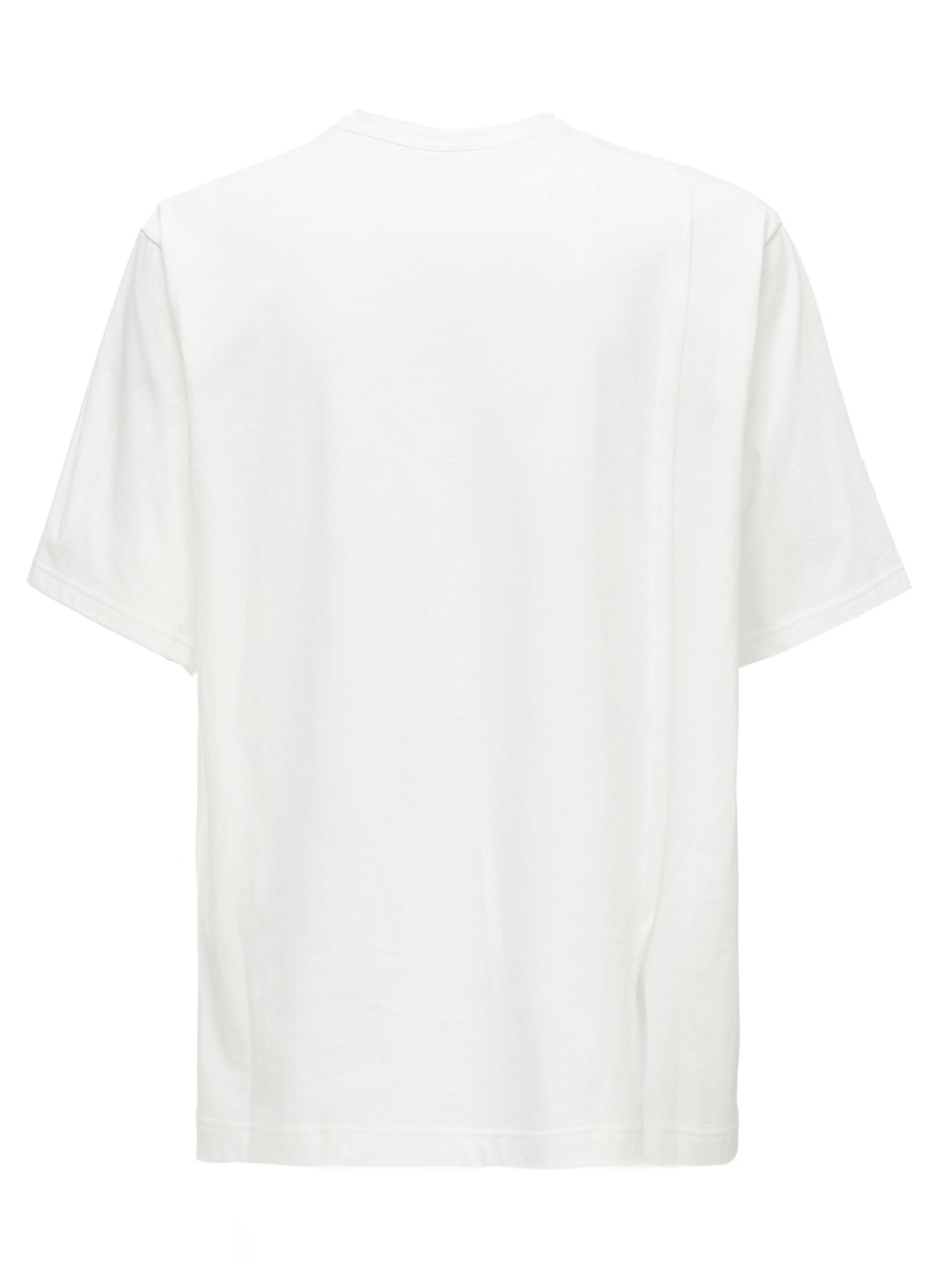 COTTON JERSEY SHORT SLEEVED T