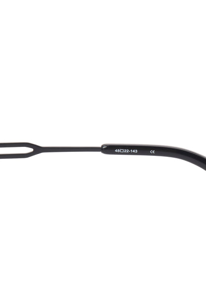 TITANIUM SUNGLASSES A
