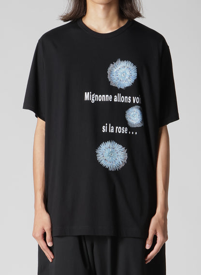 30/- COMBED PLAIN STITCH SHORT SLV T PT D