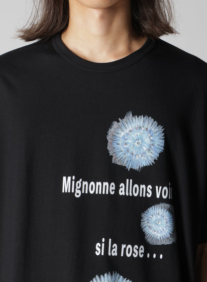 30/- COMBED PLAIN STITCH SHORT SLV T PT D