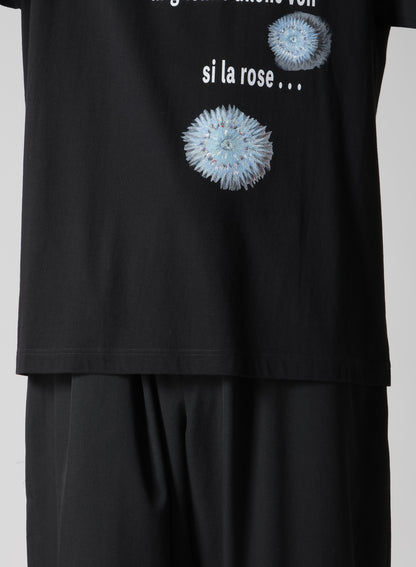 30/- COMBED PLAIN STITCH SHORT SLV T PT D