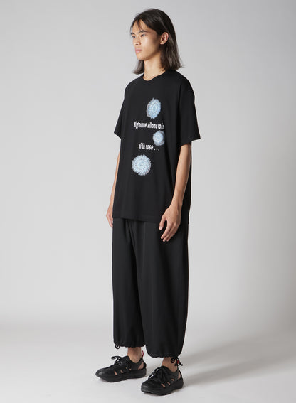 30/- COMBED PLAIN STITCH SHORT SLV T PT D