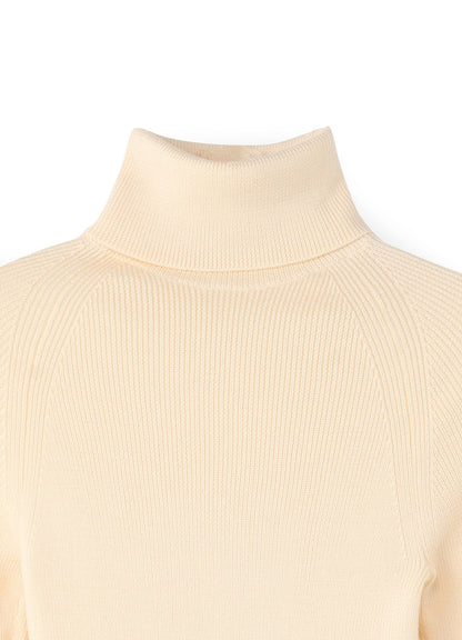 Standard W/Washable Plain Stitch Short Turtle Knitwear