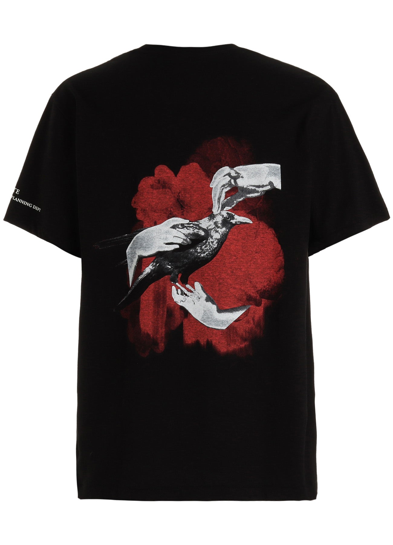 GRAPHIC T-SHIRT -CROW ON THE HAND-