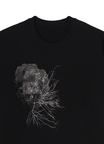GRAPHIC T-SHIRT -SCULPTURE-