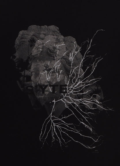 GRAPHIC T-SHIRT -SCULPTURE-