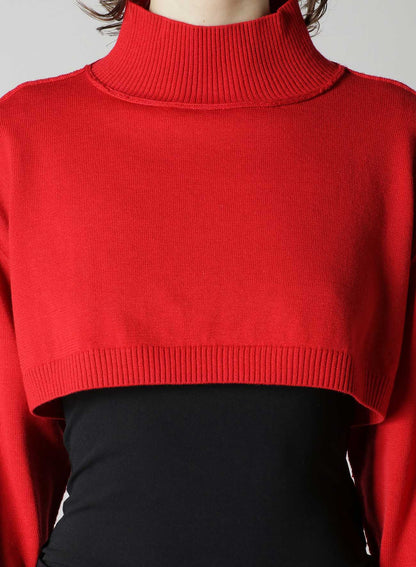 CROPPED RIB KNIT TURTLENECK