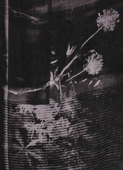 FILAGEN FLOWER PRINT SCARF